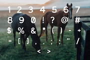 Melvin, a Sans Serif Font by Woodcrest Design Co. (Thumbnail 3 of 4)