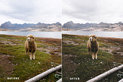 Oneday: Analog & Aesthetic Lr preset, an Action Add-On by Emyself Design (Thumbnail 8 of 10)
