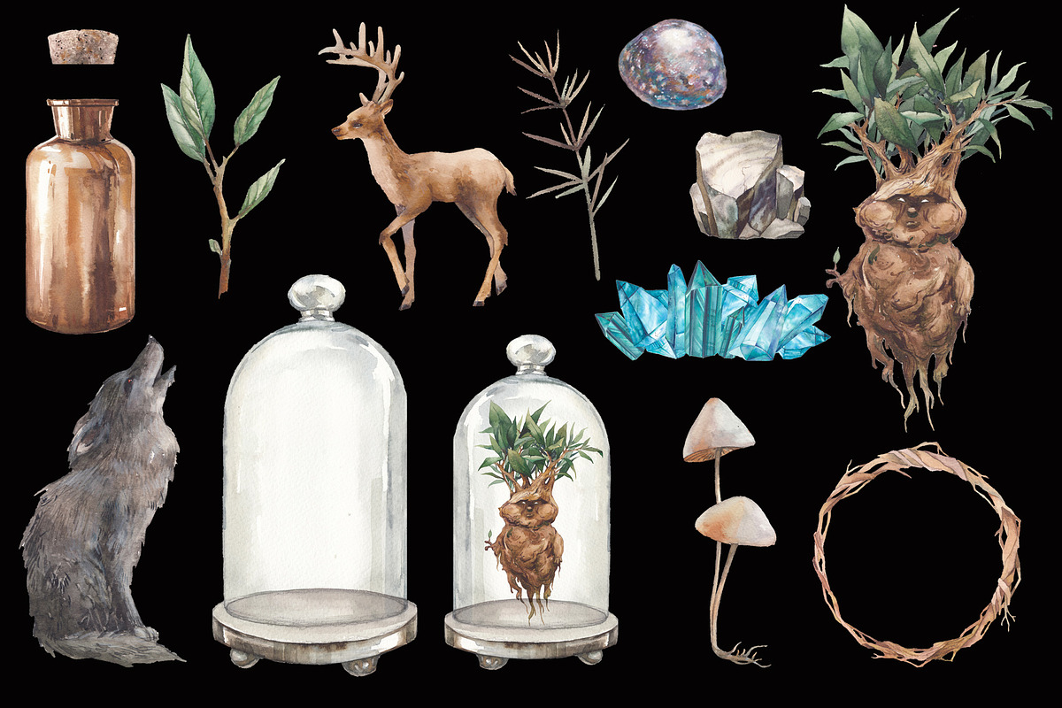 Magic Mandrake, an Illustration by Eisfrei (Photo 7 of 8)