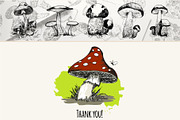 Mushrooms. Big set. 84 objects, a Decorative Illustration by Alena Kaz (Thumbnail 8 of 8)