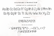 Notes Book, a Serif Font by InermediaSTUDIO (Thumbnail 2 of 7)