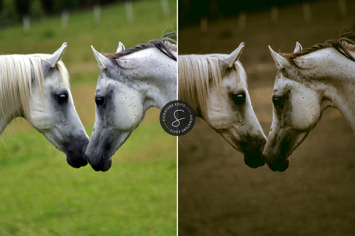 Dark & Moody Lightroom Presets, an Action Add-On by Signature Edits (Photo 17 of 20)
