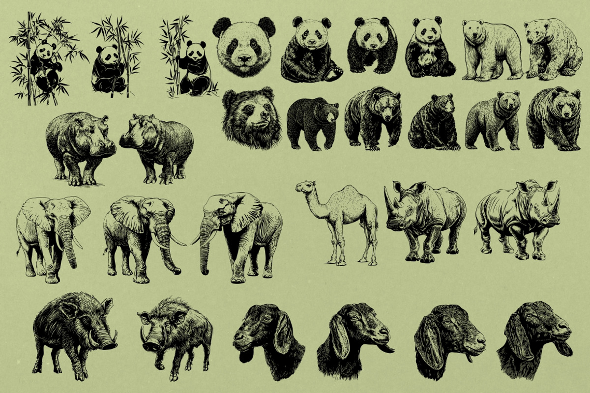 330 ZOO Animals vector illustrations, an Animal Illustration by Nocturnal Wolf (Photo 12 of 18)