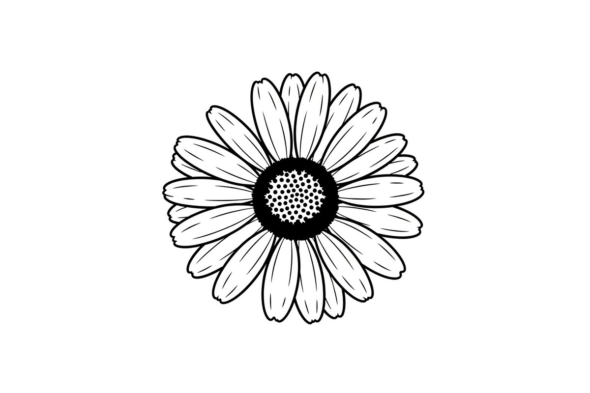 Daisy Flower Line Art Vector Bundle0, an Illustration by jahid234 (Photo 5 of 51)