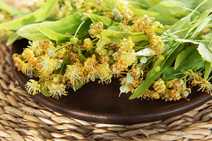 Linden tree blossoms on a dark plate preparing herbal tea, a Nature Photo by Olena Rudo