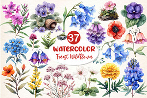Botanical Forest Wildflower Clipart, an Illustration by Dream Creation