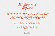 Reinhart Script, a Script Font by Damelev (Thumbnail 9 of 9)