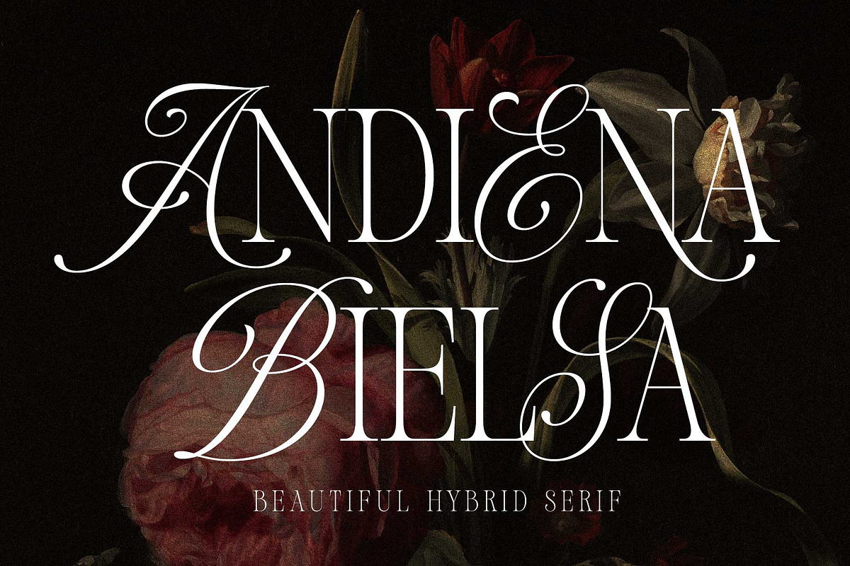 Andiena Bielsa - Hybrid Serif, a Serif Font by Arterfak Project (Photo 1 of 12)