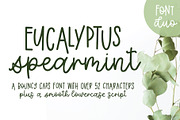 Eucalyptus Spearmint Monoline Script, a Script Font by Jordyn Alison Designs (Thumbnail 1 of 8)