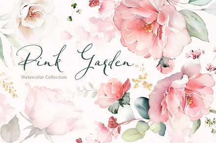 Pink Watercolor roses