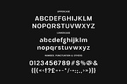 Montgomery Sharp Sans, a Sans Serif Font by Cruzine (Thumbnail 6 of 10)