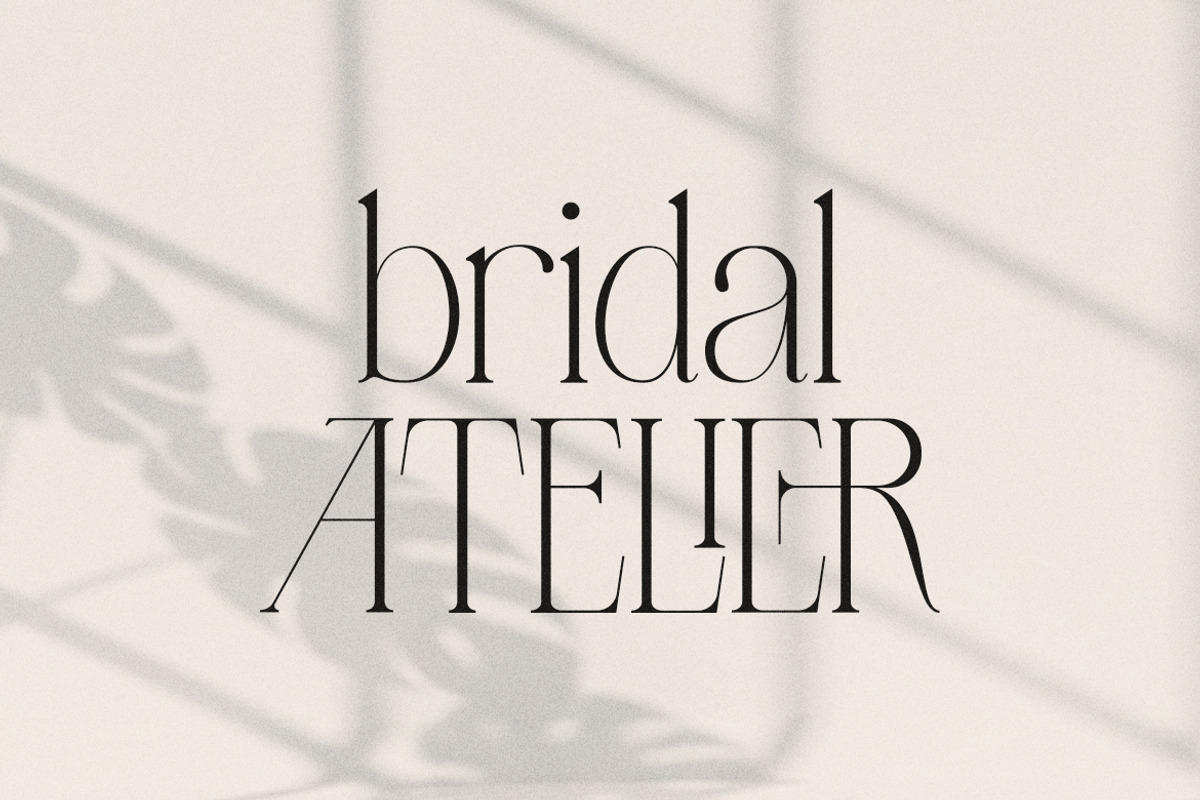 LT Verola – Rich Serif Ligature Type, a Serif Font by Luminotype (Photo 12 of 15)
