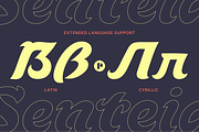 Senteia | Voltaic Brush Typeface, a Serif Font by Pedroglifos (Thumbnail 7 of 12)