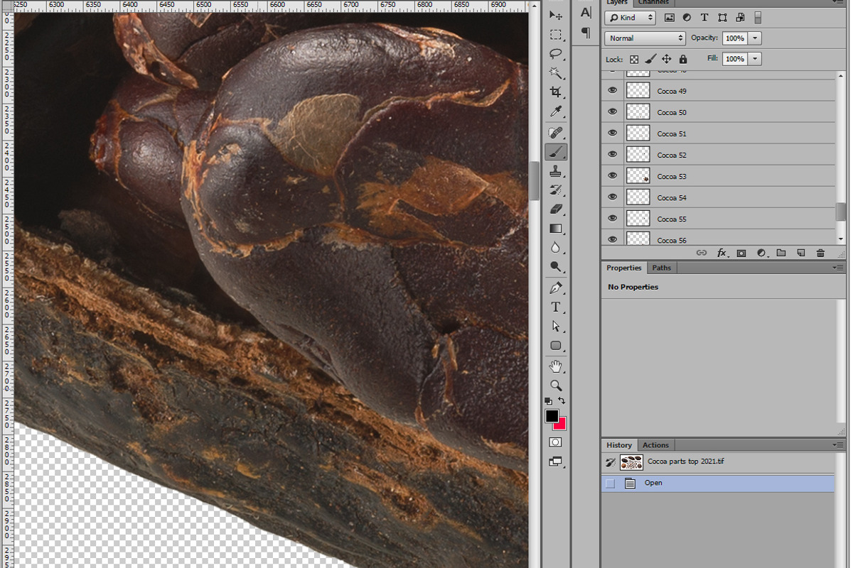 Cacao parts top-down, an Object Graphic by Hortimages (Photo 2 of 2)
