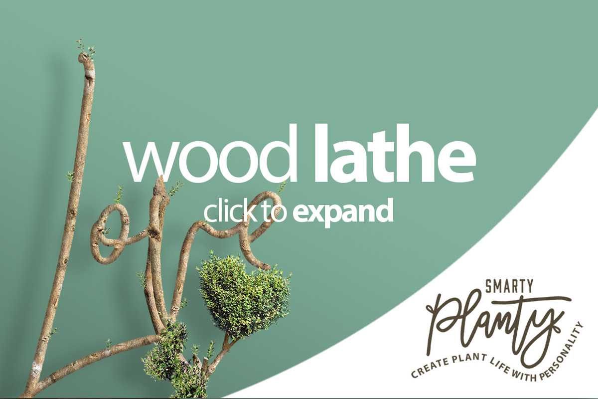 Smarty Planty - Plant life creator, a Product Mockup by envirographic (Photo 7 of 24)