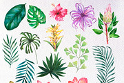 Watercolor Tropical BIG BUNDLE PNG, a Seasonal Illustration by PatternPalette (Thumbnail 2 of 15)