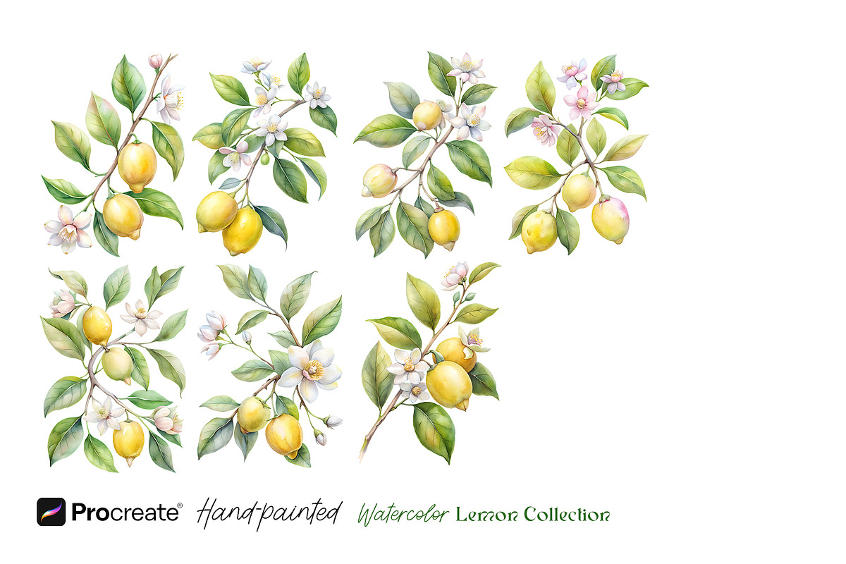 Watercolor Lemons Clipart & Pattern, an Object Graphic by crafty (Photo 3 of 15)