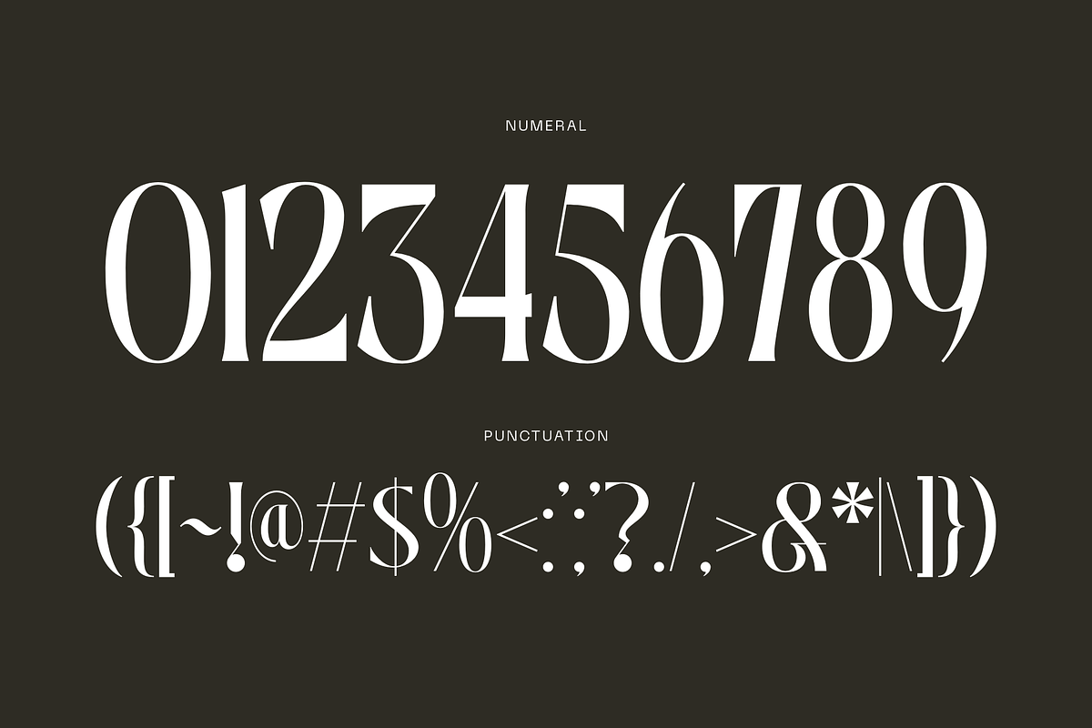 Luxury Logo Font - Bageki, a Serif Font by Nirmana Visual (Photo 9 of 9)