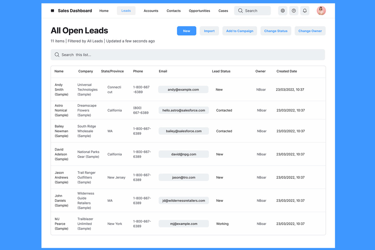 Sales CRM Platform & Leads Web App, an UI Kit Template by nagaredesignstudio (Photo 4 of 5)