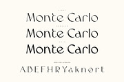 The Modern Typography Bundle, a Serif Font by Ivan Rosenberg (Thumbnail 13 of 58)