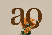 Bemolin Elegant Branding Font, a Serif Font by RantautypeStudio (Thumbnail 8 of 19)