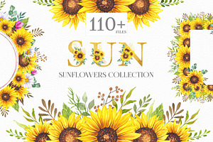 Watercolor Sunflowers Collection, an Illustration by CaraulanStore