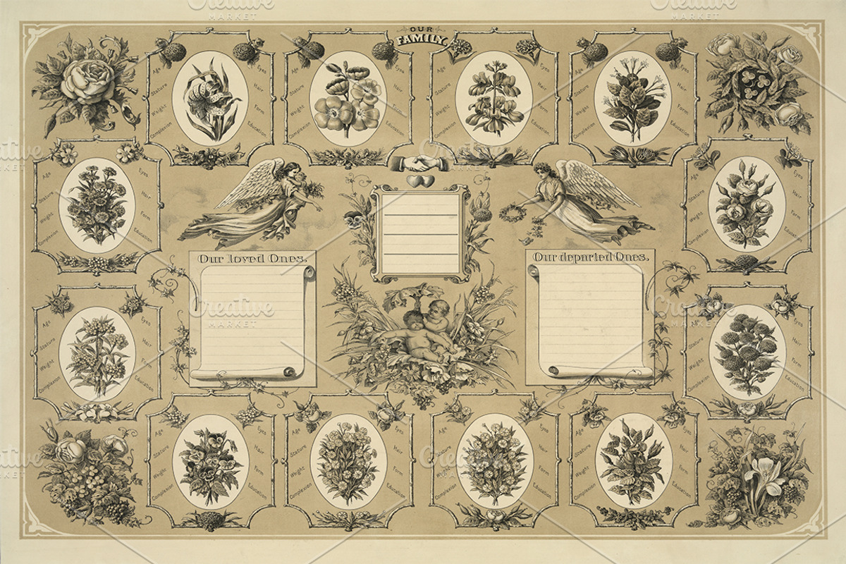 Antique Family Records - Blank, an Illustration by Blue Line Design (Photo 3 of 10)