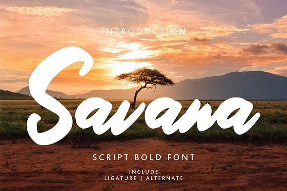 Savana - Script Bold Font preview 7