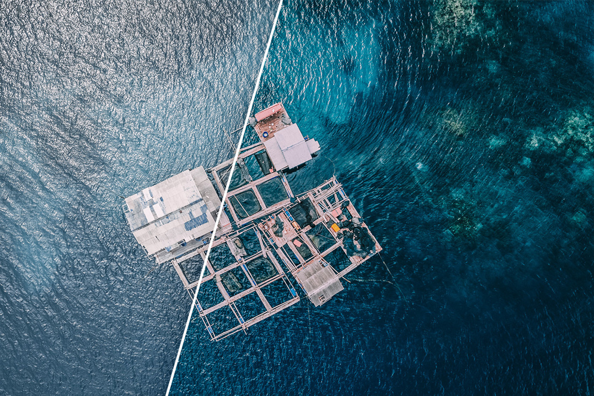 DJI Mavic 1 & 2 Lightroom Presets, an Action Add-On by PhotoMarket (Photo 16 of 36)
