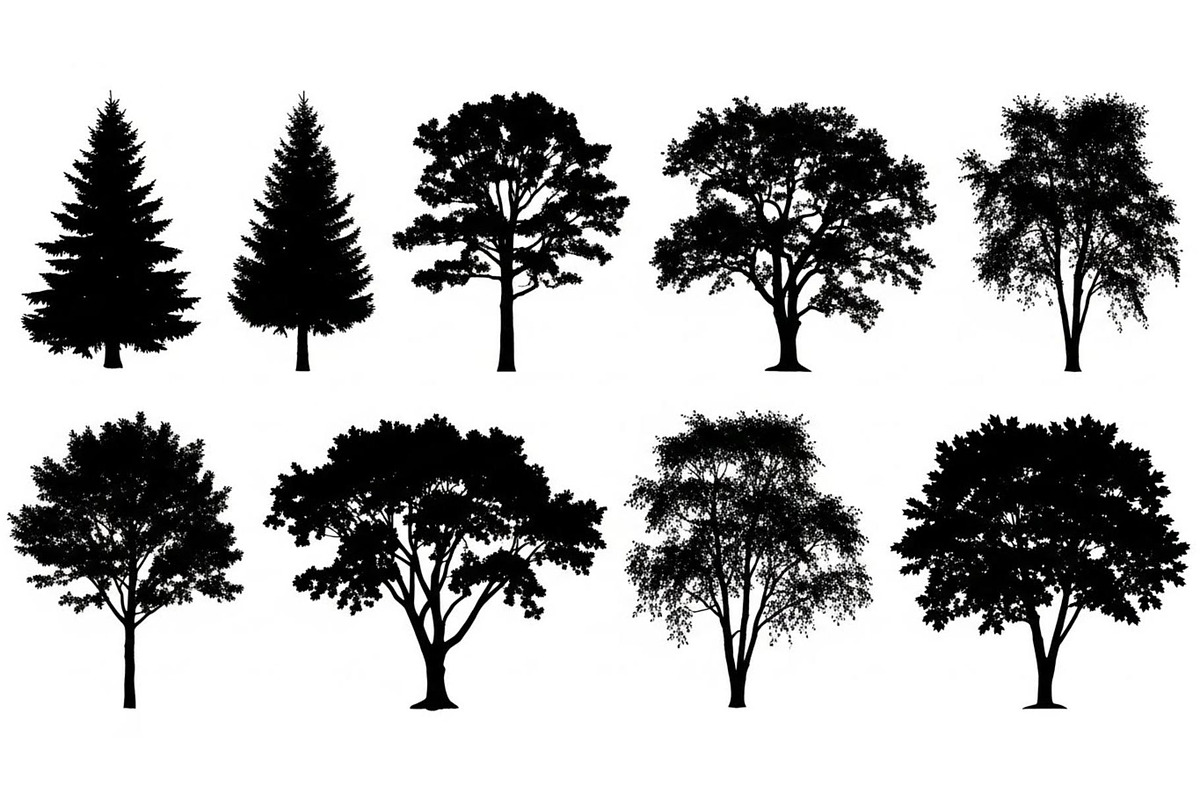 Woodland & Forest Tree Silhouettes B, an Illustration by jahid234 (Photo 28 of 41)