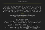 Chaydio Smith Bold Handwritten Font, a Script Font by stylishtype.co (Thumbnail 18 of 20)