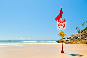Surf Beach Flags, a Sports & Recreation Photo by THP Creative