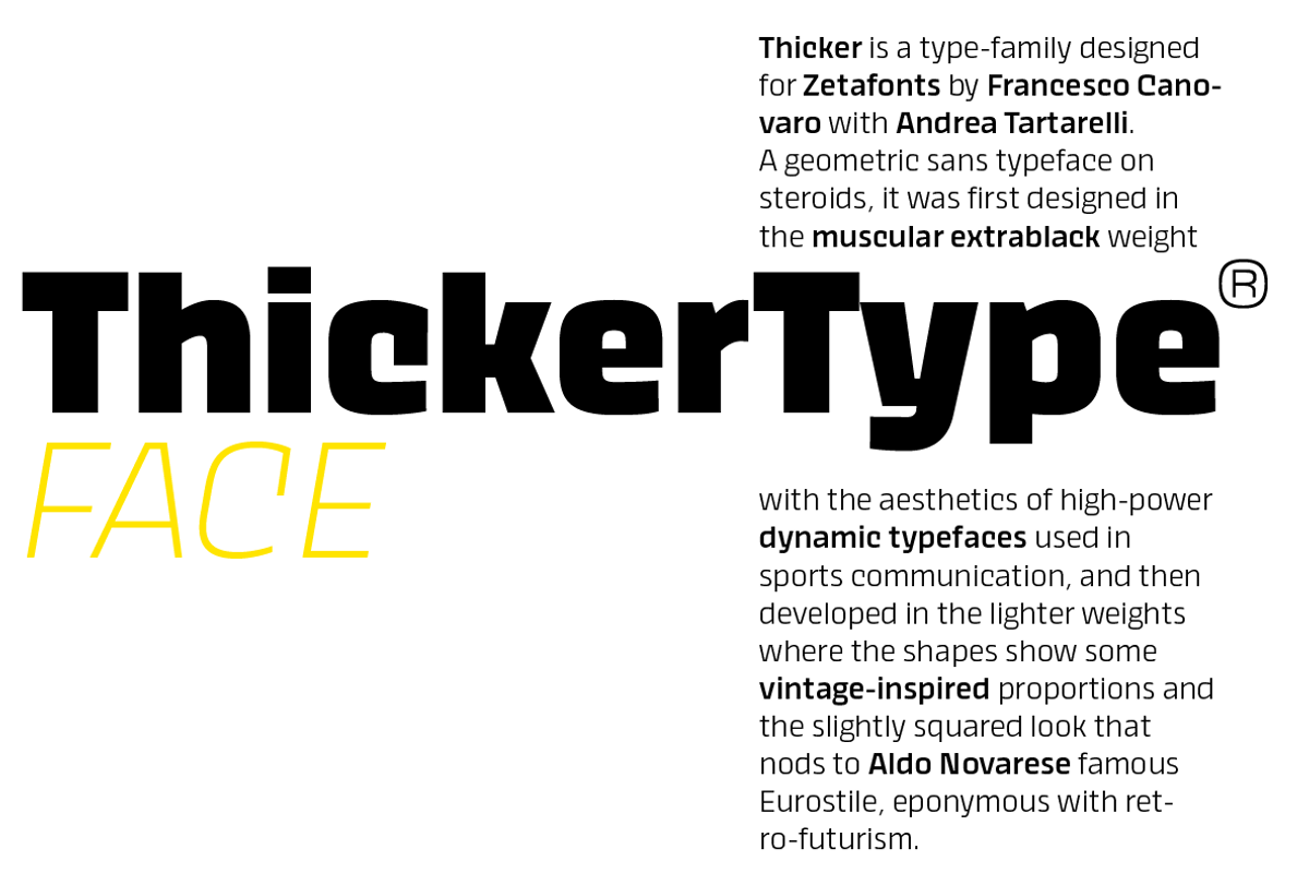 Thicker 44 fonts + 2 variables, a Sans Serif Font by Zetafonts (Photo 11 of 13)
