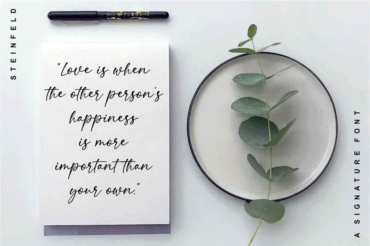 Steinfeld a Handwritten Font, a Script Font by Vilogsign (Photo 7 of 11)