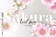Sakura | Cherry Blossom Florals, an Illustration by January Bloom (Thumbnail 2 of 11)