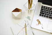 Desert animals collection, an Animal Illustration by handsketched (Thumbnail 4 of 9)