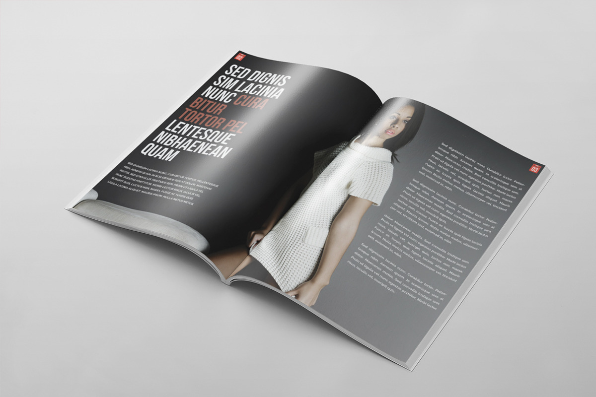 Magazine Template 41, a Magazine Template by pmvch (Photo 6 of 10)
