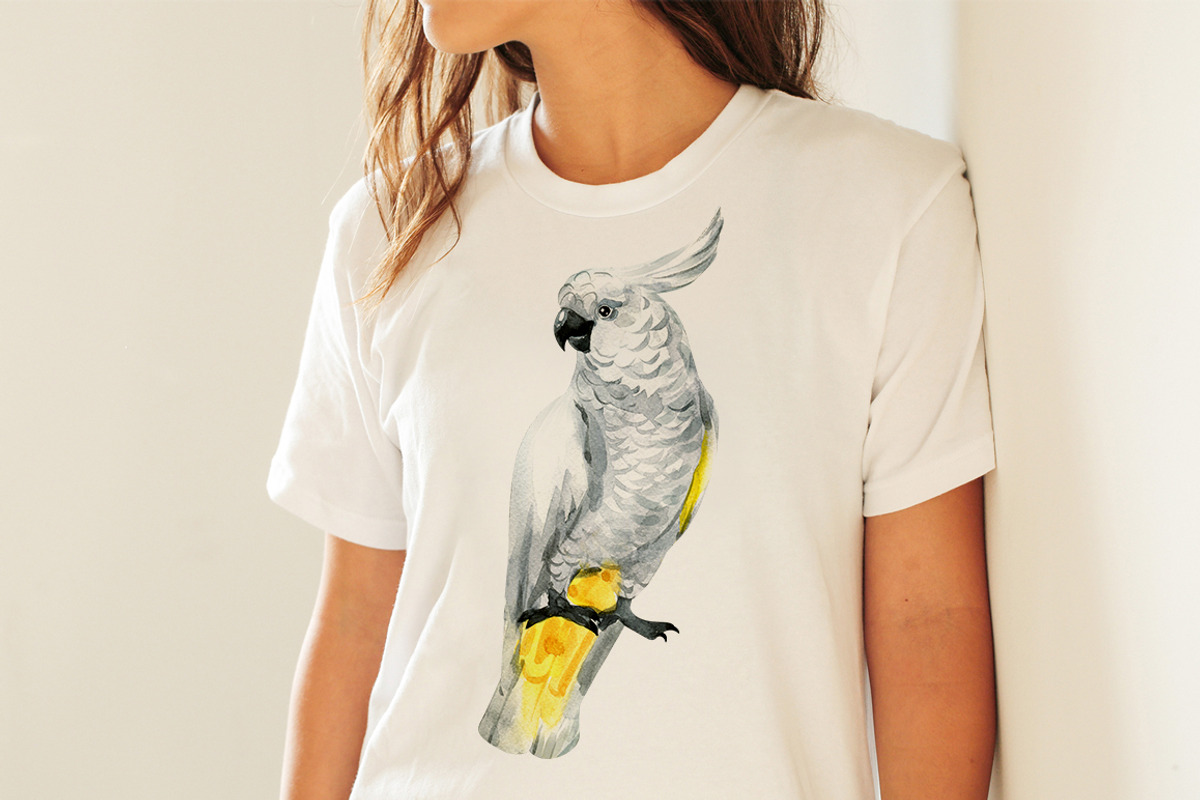 Parrots-watercolor set, an Animal Illustration by KatBranchArt (Photo 3 of 5)