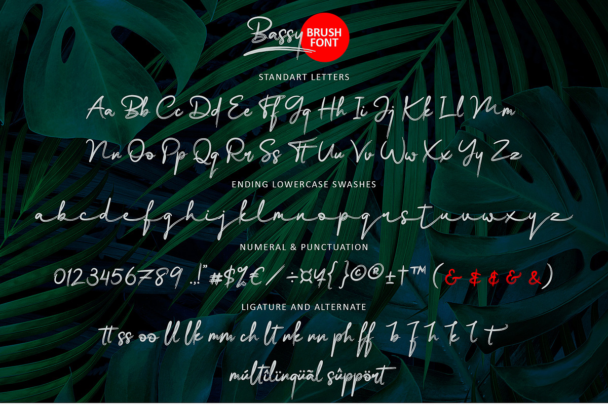 Bassy - Brush Font, a Script Font by erlosDESIGN (Photo 14 of 14)