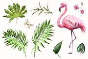 Tropical collection. Summer design., a Decorative Illustration by Lisima (Thumbnail 3 of 19)