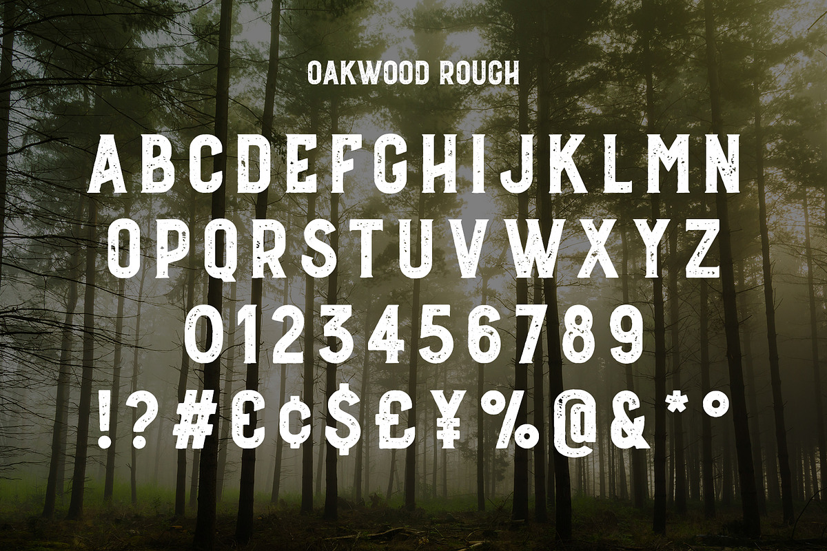 Oakwood - Rustic Font preview 4
