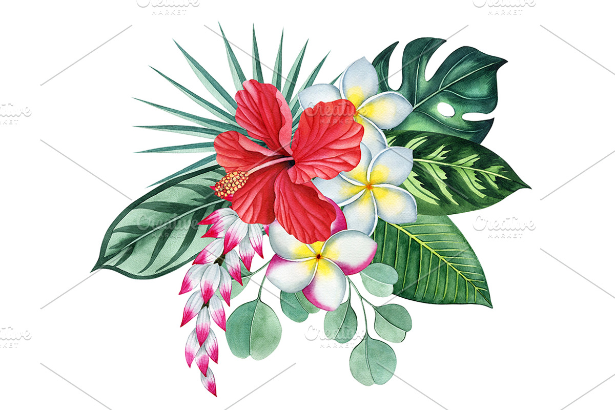 Tropical plants set, an Illustration by Watercolor life (Photo 2 of 13)