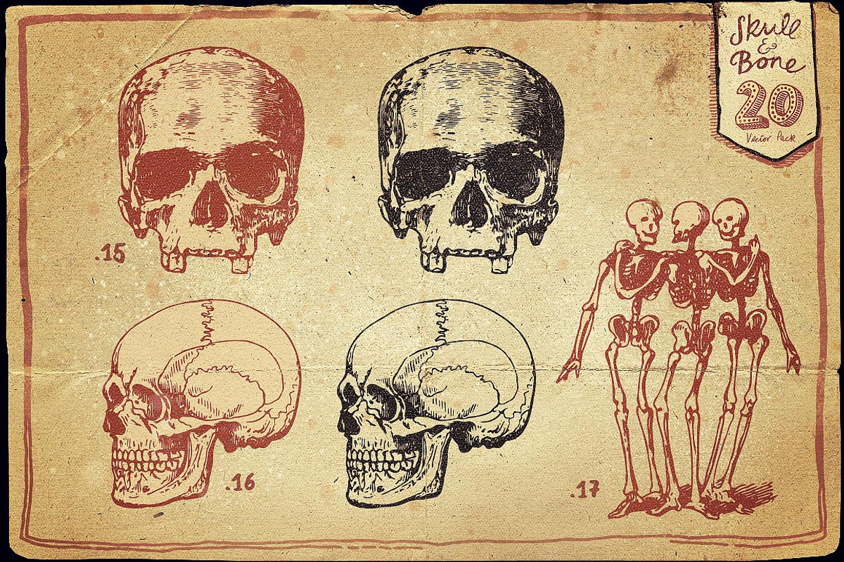 Vintage Skull and Bone Vector pack, an Illustration by Itsmesimon (Photo 9 of 11)