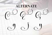 Grading | Script Font, a Handwritten Font by Scratchones (Thumbnail 8 of 9)
