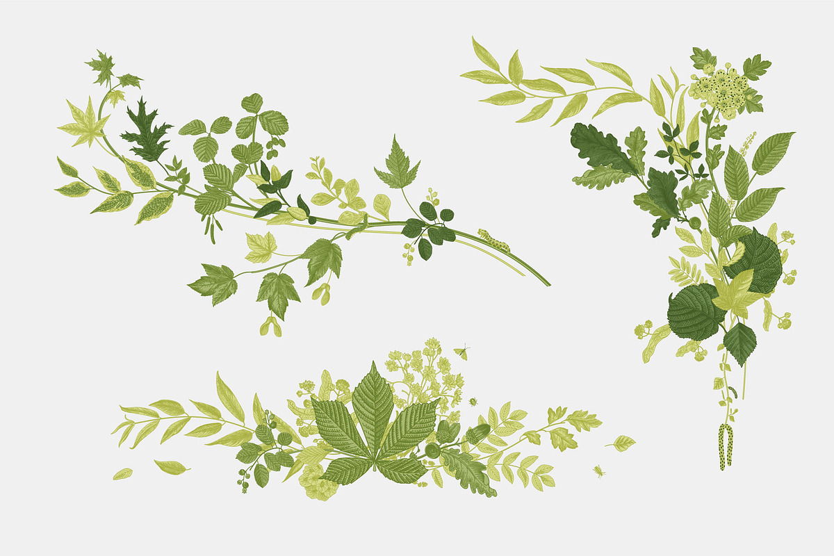Leafy, a Decorative Illustration by olga.korneeva (Photo 6 of 16)