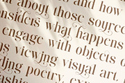 Salindra - Elegant Modern Serif Font, a Serif Font by Jimoji (Thumbnail 4 of 7)