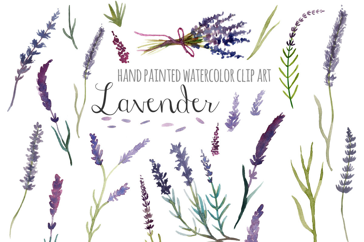 Lavender watercolor clip art, an Illustration by SandraGraphicDesign (Photo 2 of 3)