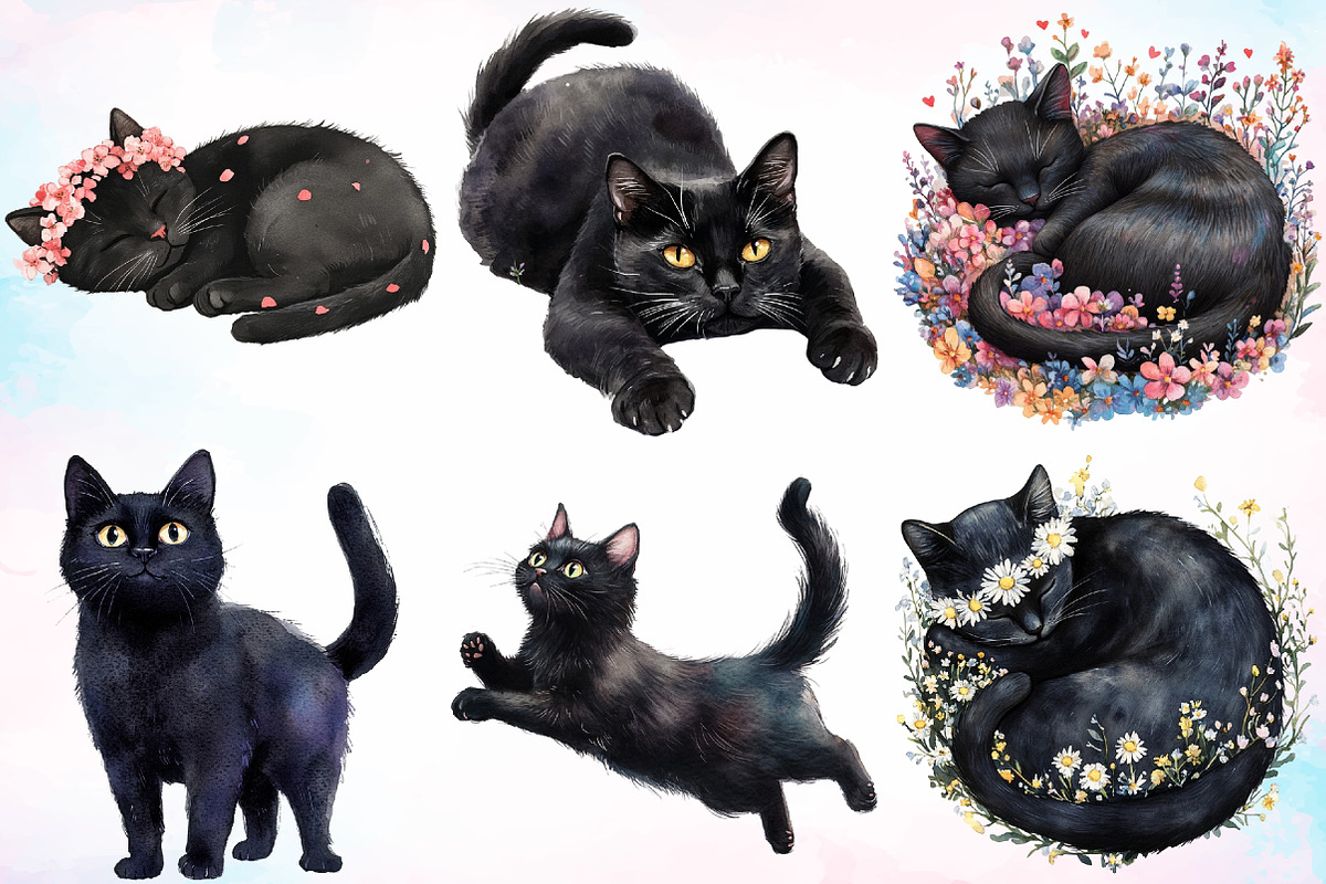 Watercolor Floral Black Cat Clipart, a Seasonal Illustration by Canvas ...