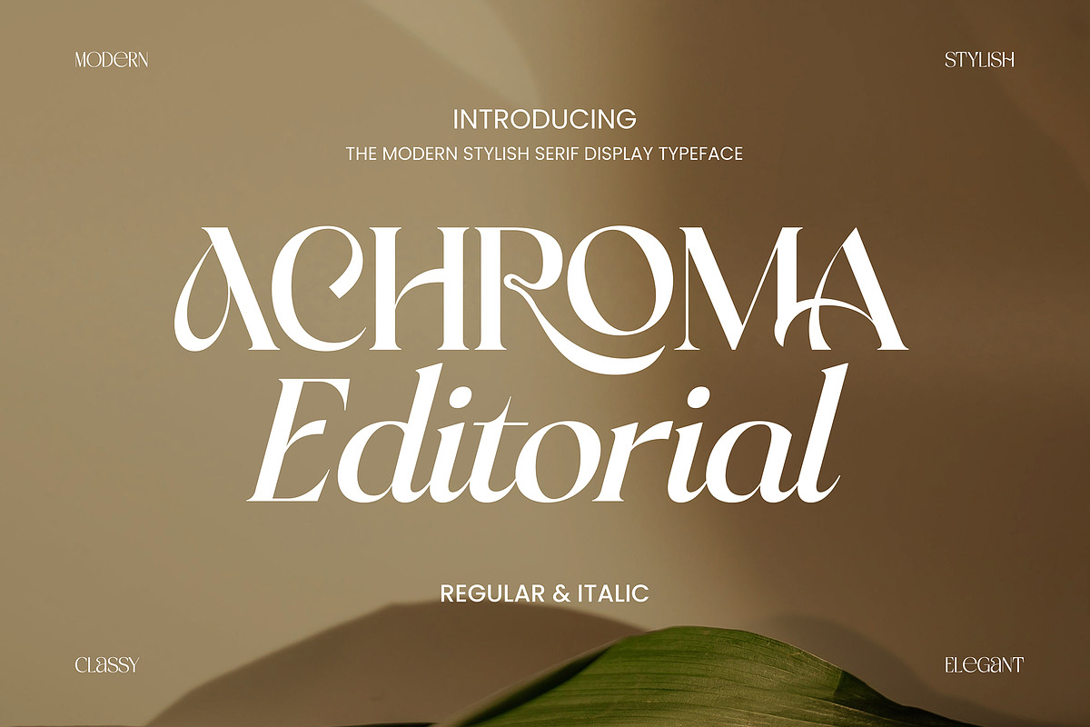 Achroma Editorial, a Serif Font by Megatype (Photo 1 of 9)