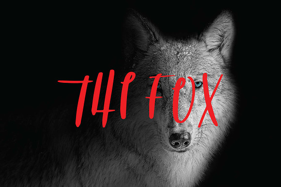 The fox font preview 6